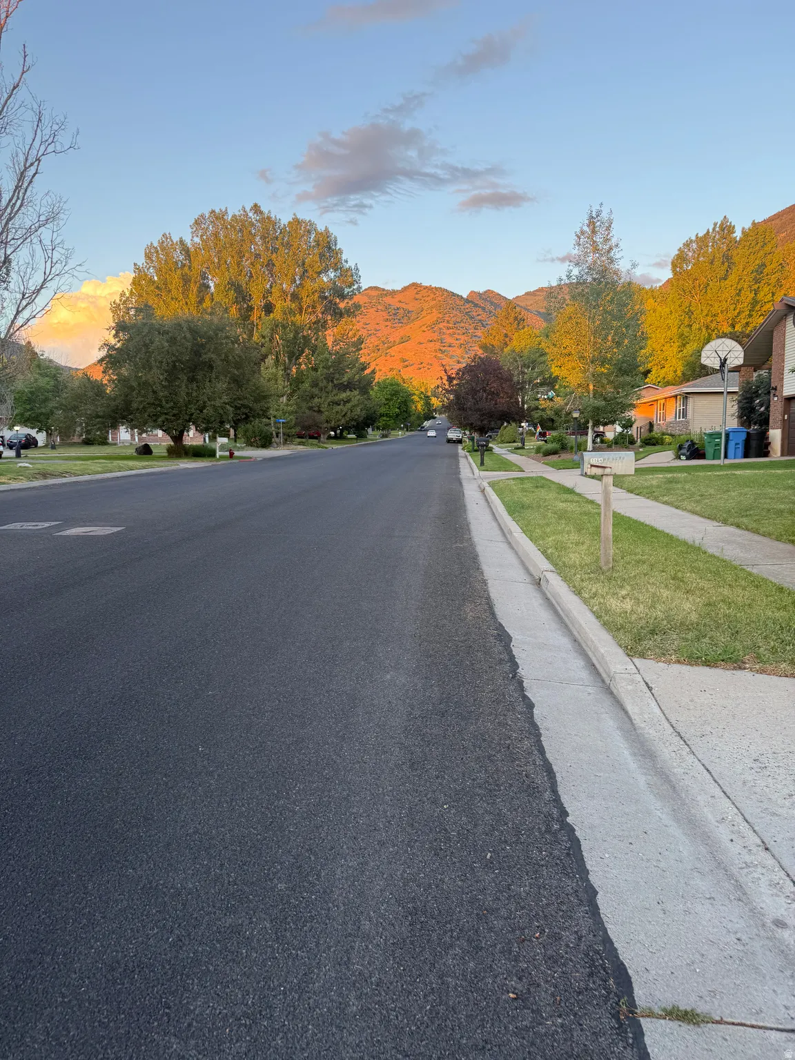 Tree-lined street with mountain backdrop, featuring paved roads, concrete sidewalks, and manicured lawns