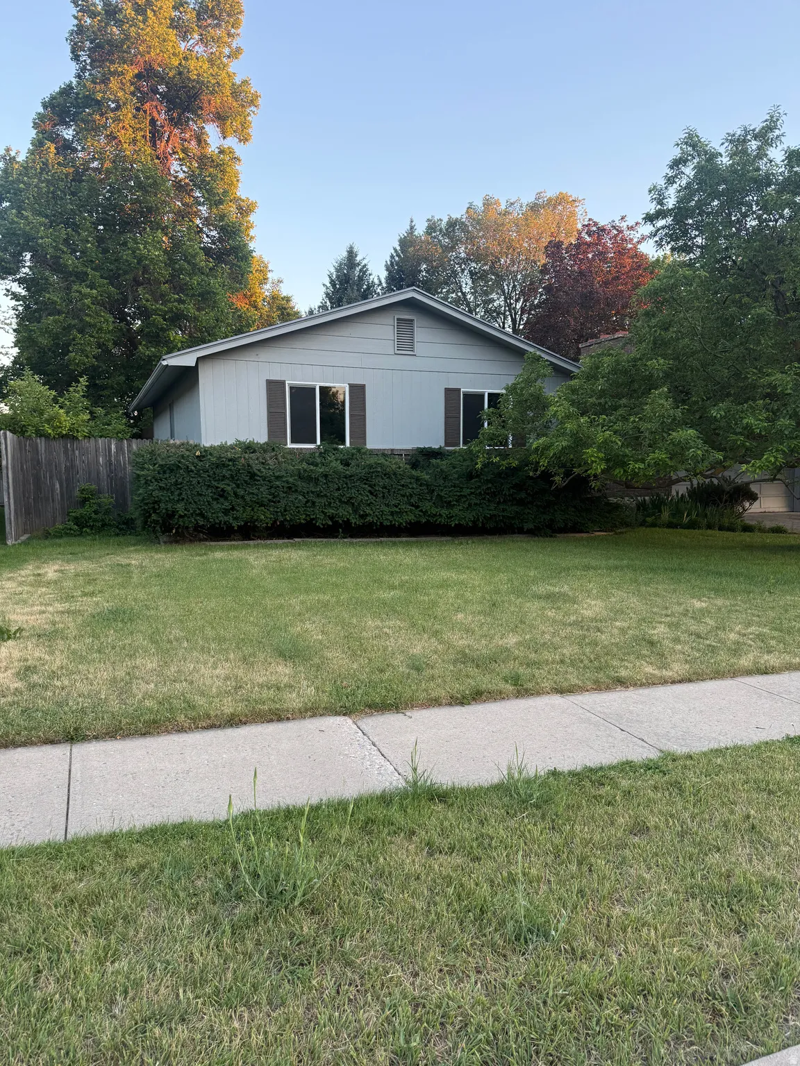 Light blue siding facade with dark shutters, front yard, and sidewalk