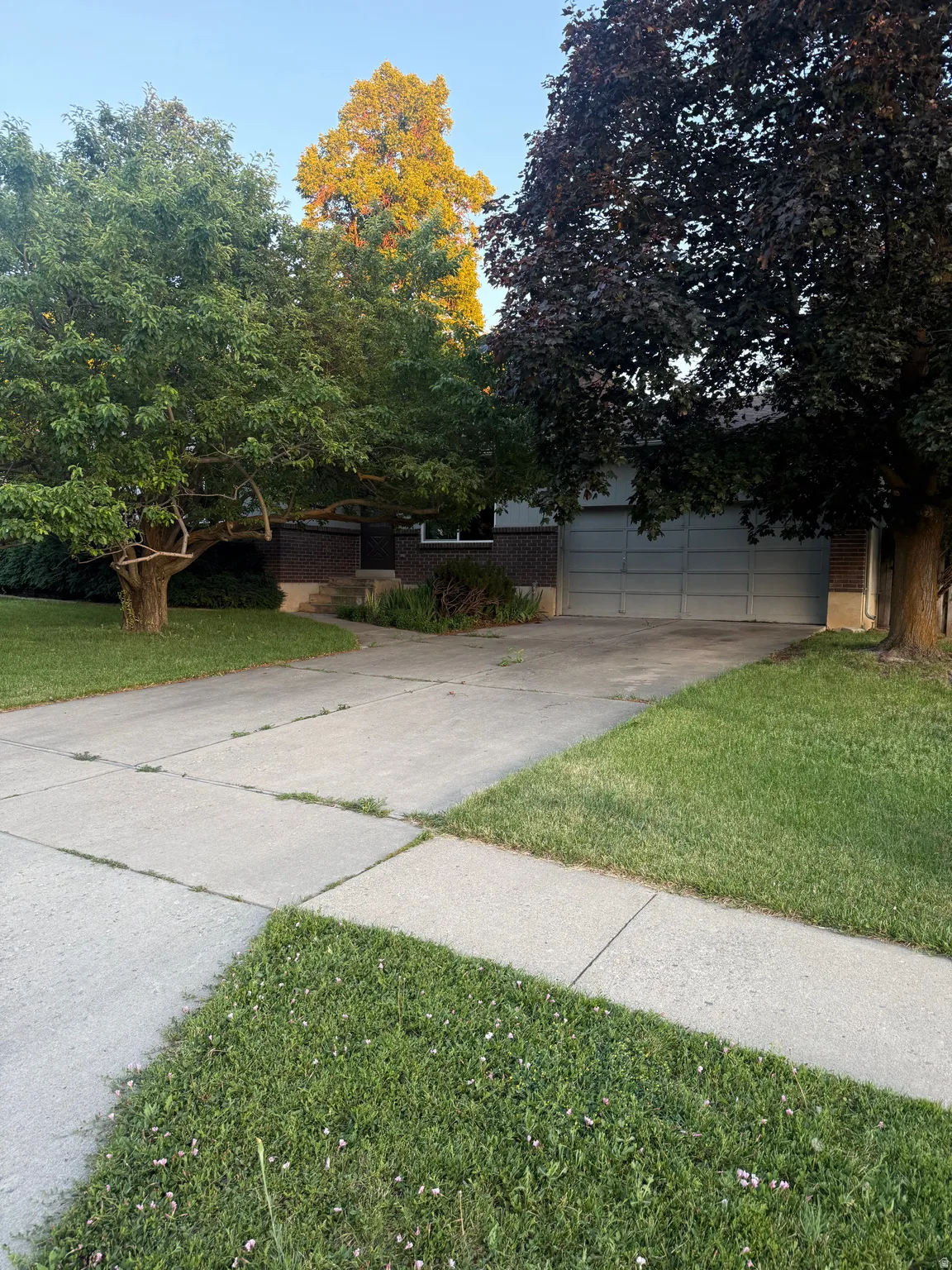 Brick facade residence with an attached garage, mature trees, and a concrete driveway