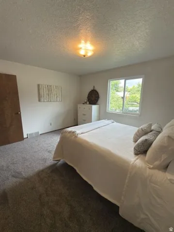 Soft gray carpeting throughout
