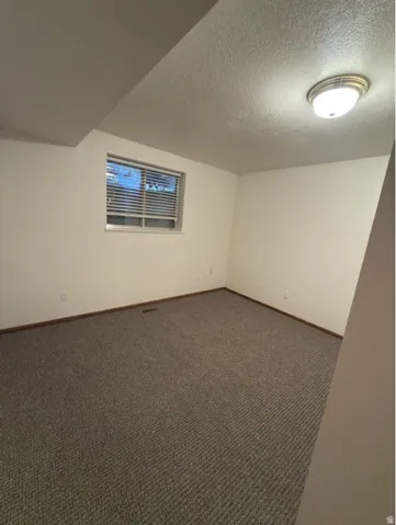 Carpeted room featuring white walls, a single window with blinds, and a flush-mount ceiling light fixture