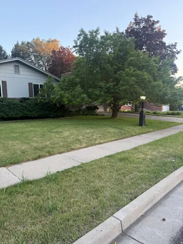 Expansive front lawn with mature trees and established landscaping