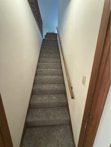 Carpeted staircase with light gray pile and wood-finish risers