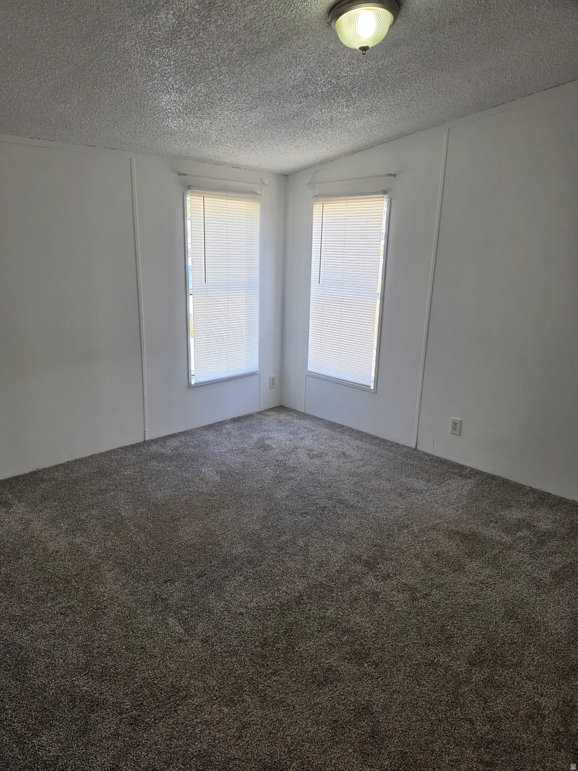 Room featuring two windows with blinds, neutral-toned carpet, white walls, and a ceiling-mounted light fixture