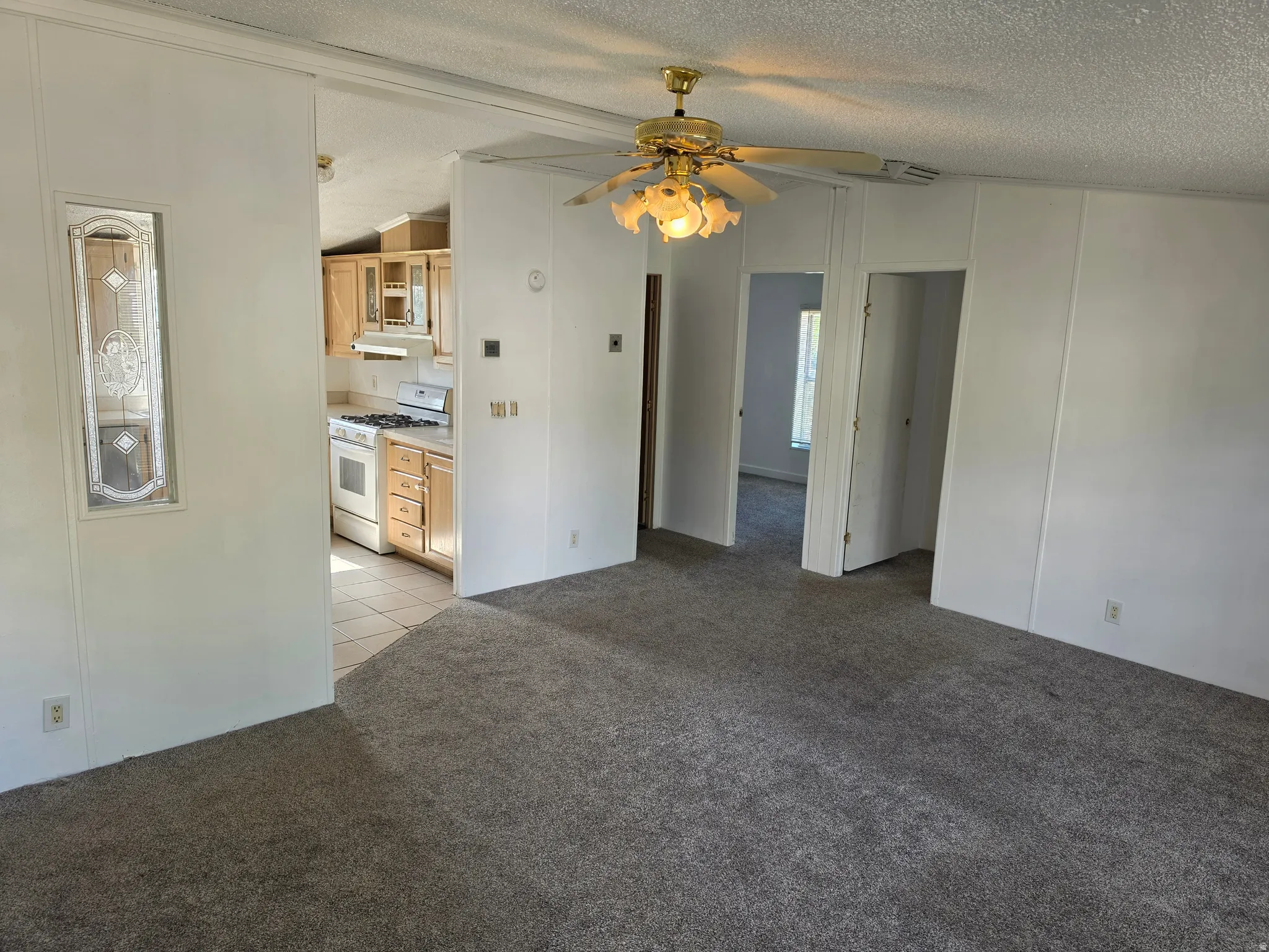 Interior space featuring plush gray carpeting, white paneled walls, and a brass-finish ceiling fan with decorative glass shades