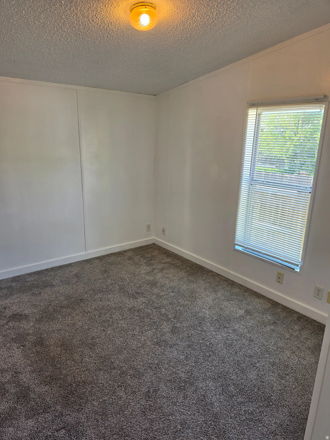 Room featuring a window with horizontal blinds, gray carpet flooring, white walls, and a ceiling-mounted light fixture