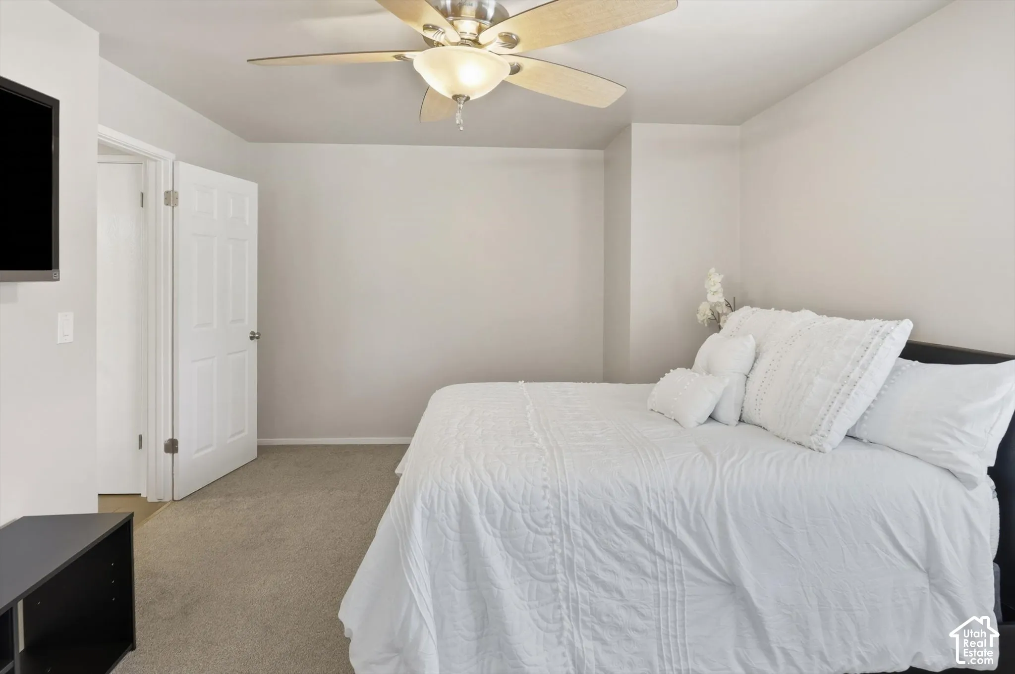 Carpeted room featuring a ceiling fan with light fixture, light gray wall paint, and a white paneled door