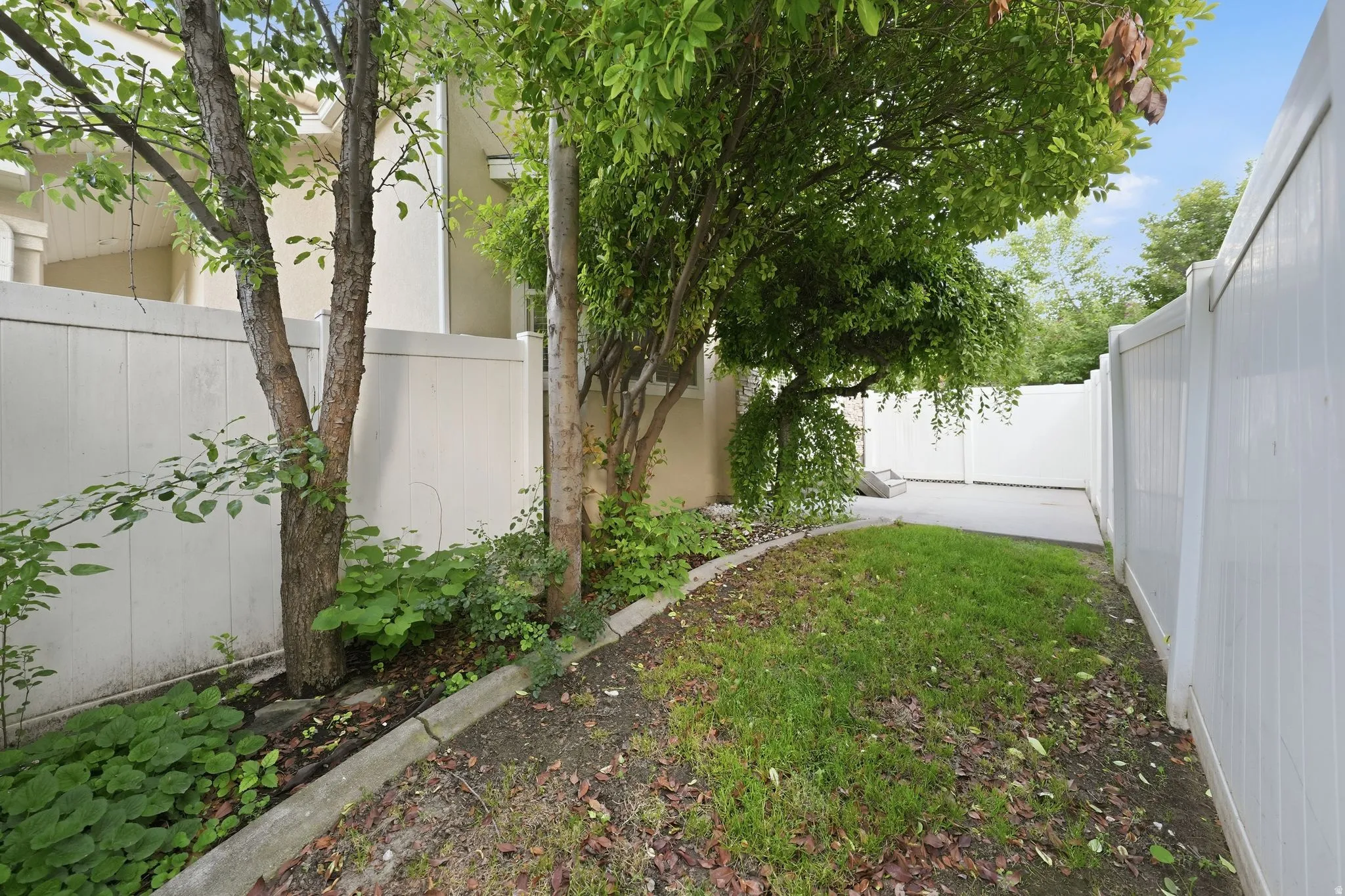 Private outdoor space featuring mature trees and established plantings