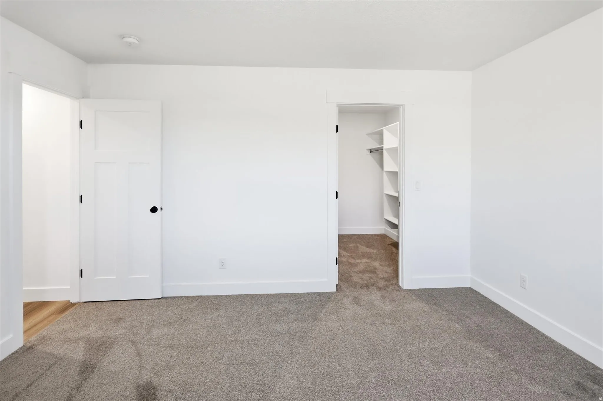 Carpeted room with a walk-in closet featuring white built-in shelving