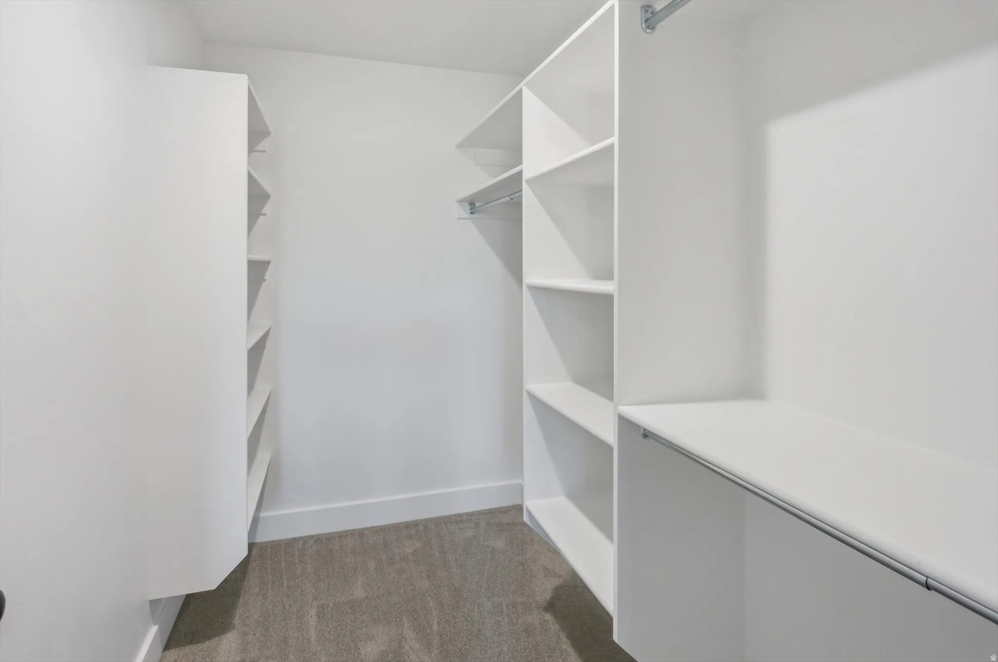 Walk-in closet featuring built-in white shelving, hanging rods, and grey carpeting