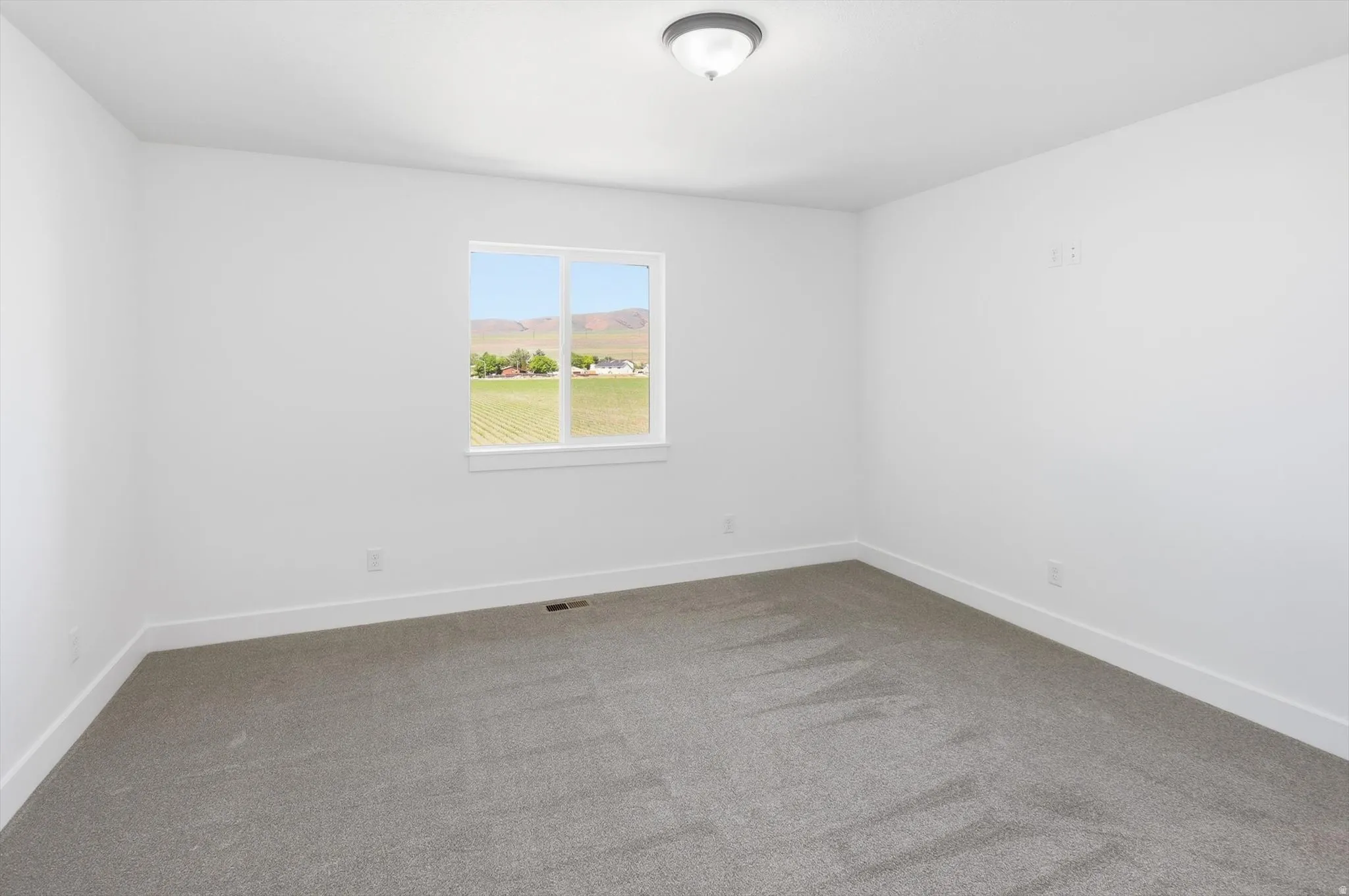 Bright interior space featuring a double-pane window, neutral gray carpet, white walls, white baseboards, and a flush-mount ceiling light