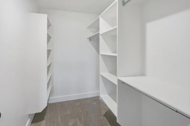 Walk-in closet featuring built-in white shelving, hanging rods, and grey carpeting
