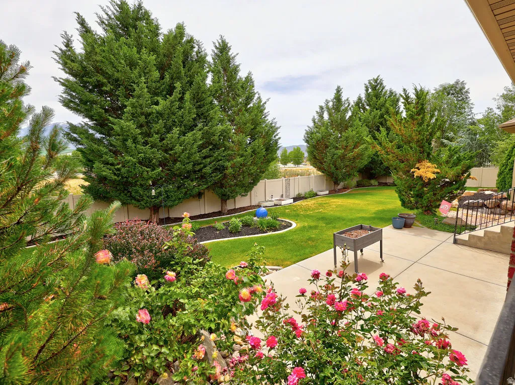 Yard