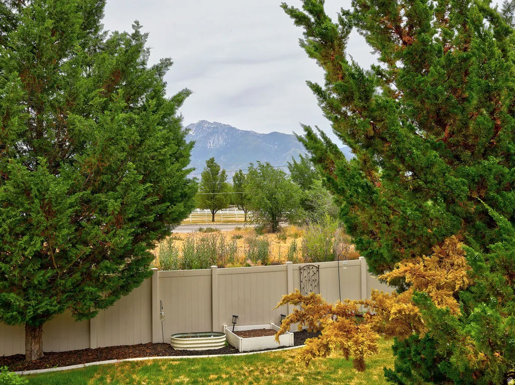 Expansive backyard featuring a manicured lawn, established trees, and a tan privacy fence