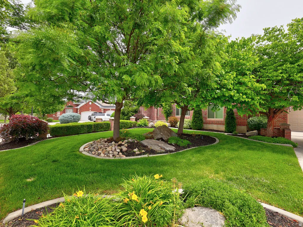 Lush front yard featuring mature deciduous trees and manicured lawn
