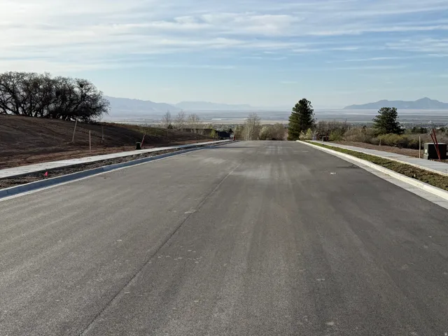 Paved street with concrete curbing and sidewalks