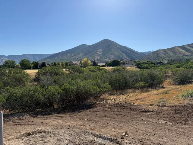 Mountain backdrop with distant residential structures, framed by natural vegetation and an undeveloped foreground