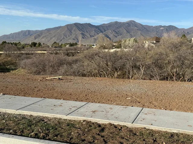 Unfinished lot featuring a paved sidewalk, rough graded earth, and mature deciduous trees