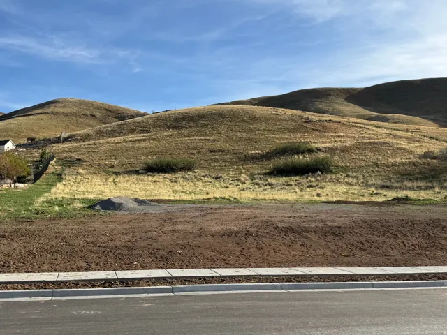 Cleared building lot with a paved street frontage, concrete curb, and sidewalk