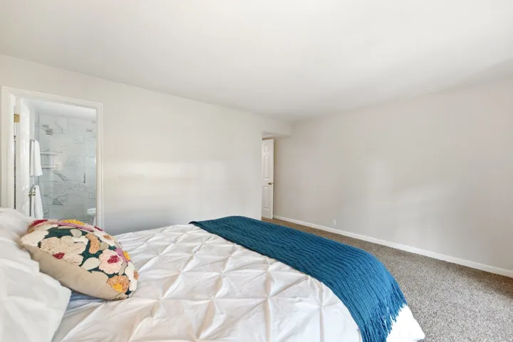 Plush carpeting, light neutral wall paint, and a white interior door