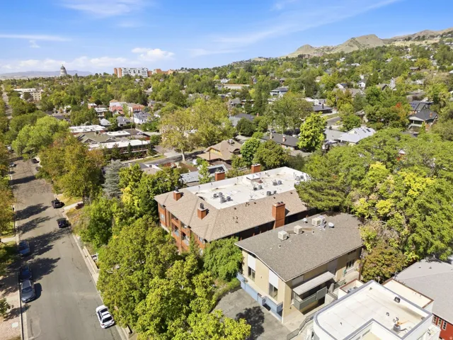 Aerial perspective of a tree-lined residential area with a prominent building featuring a shingled roof and multiple chimneys