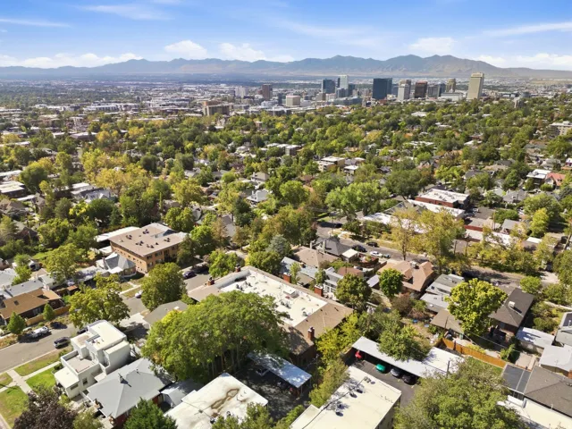 Aerial perspective showcasing an urban landscape with extensive tree canopy, a downtown skyline, and distant mountains