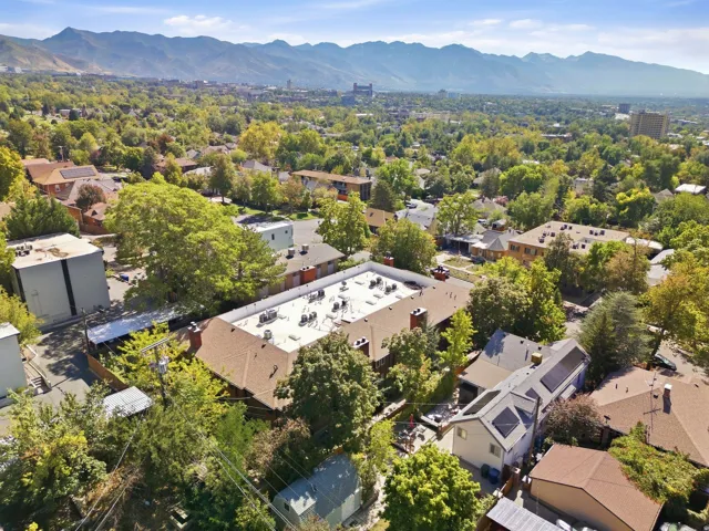 Expansive mountain backdrop with a dense tree canopy