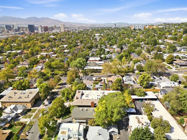 Expansive residential area with mature tree canopies, featuring a clear sky backdrop and distant city buildings