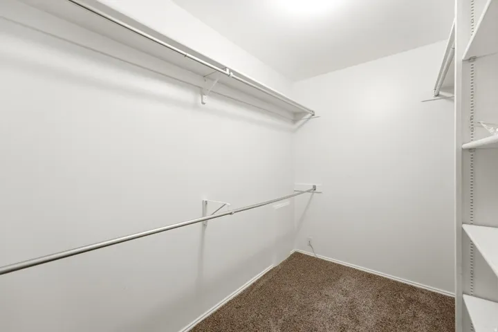 Walk-in closet with carpet flooring, white walls, built-in shelving, and metal hanging rods