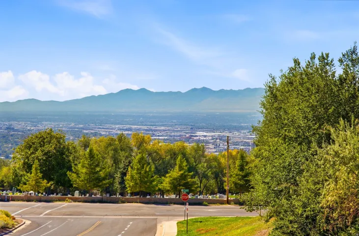 Distant mountain range and urban landscape