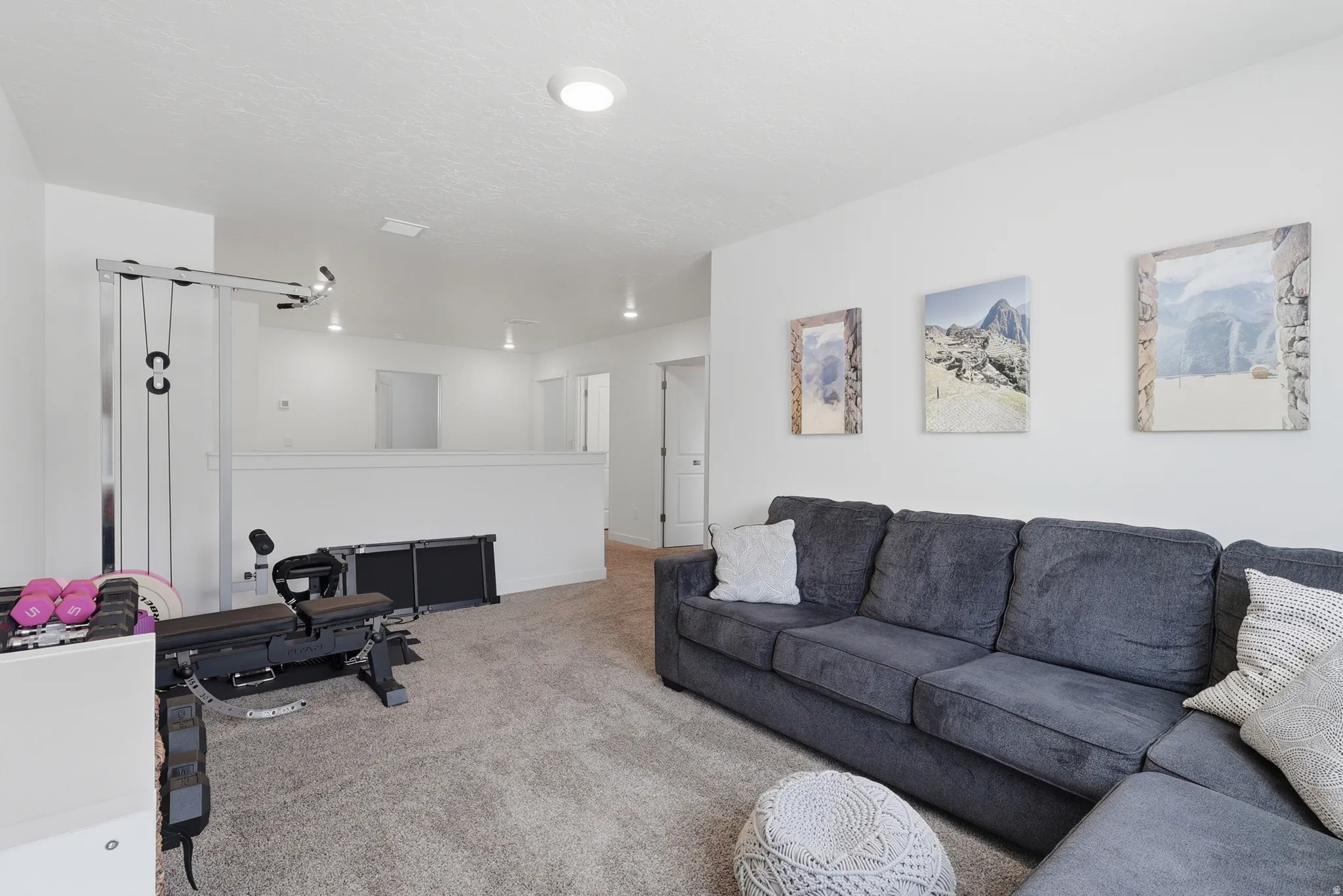 Open concept living area with light gray carpet flooring and white walls