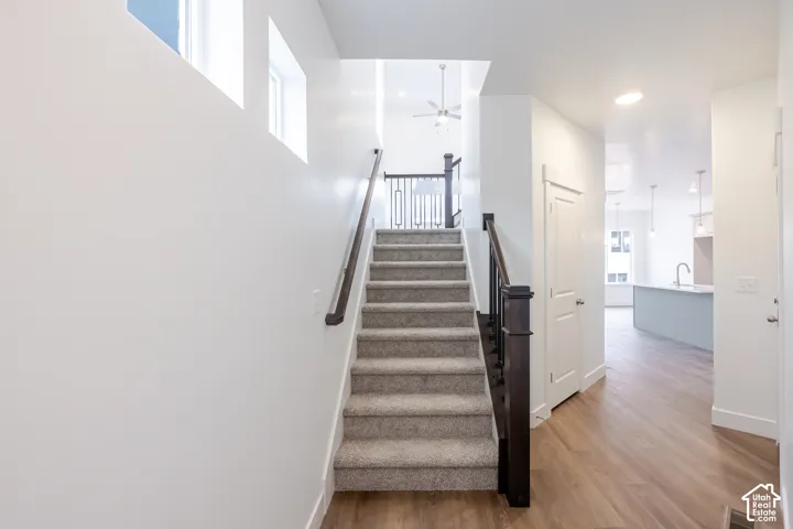 Staircase featuring carpeted steps, a dark-finish wood handrail, and a coordinating dark wood newel post with metal balusters