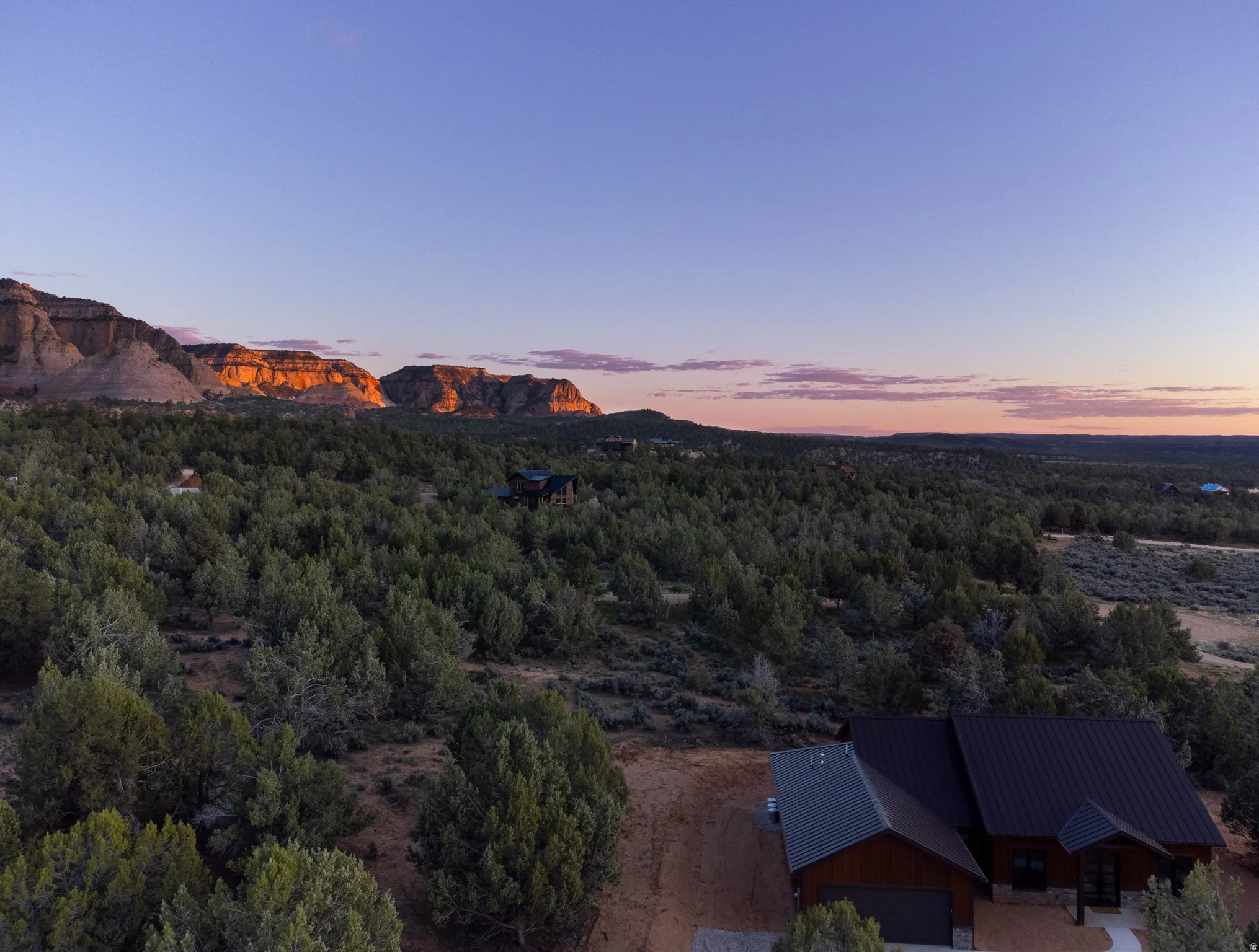 Expansive desert landscape featuring mature evergreen foliage and distant mesa formations