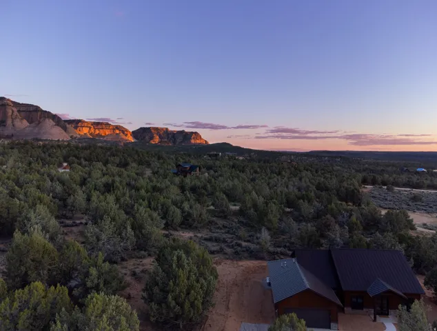 Expansive desert landscape featuring mature evergreen foliage and distant mesa formations