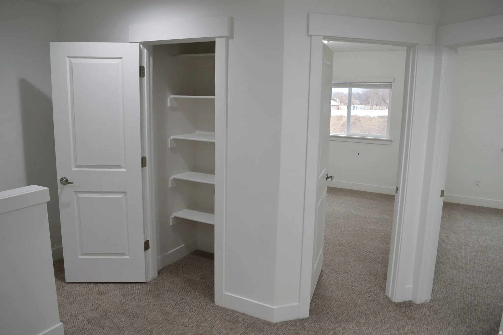 White interior doors, built-in shelving, neutral carpet, white trim, and a window with exterior visibility