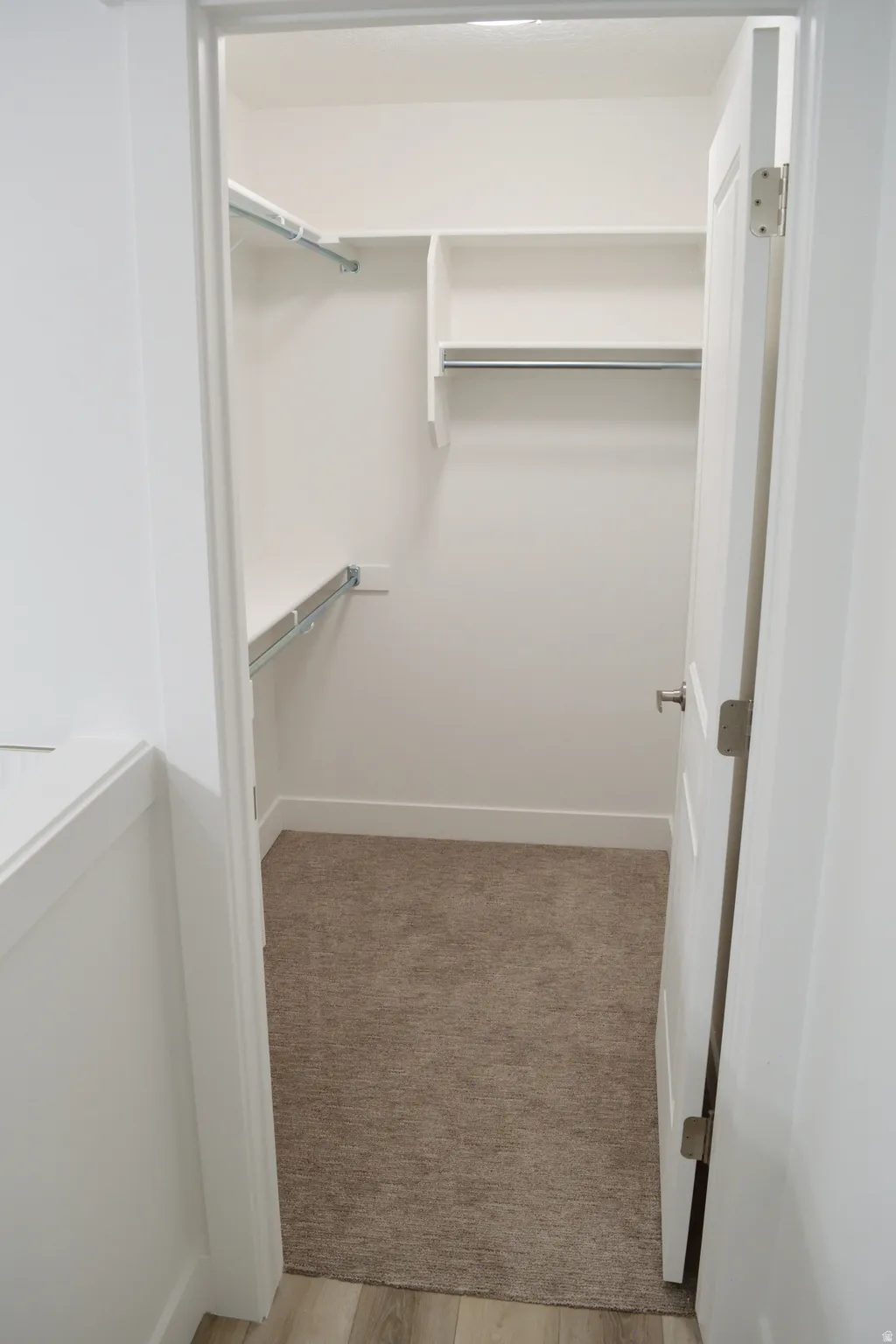 Spacious walk-in closet featuring white walls, ample built-in shelving, chrome hanging rods, and neutral-toned carpeting