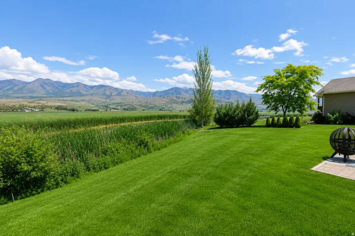 Expansive lawn area bordered by established trees and shrubs, featuring a paver patio