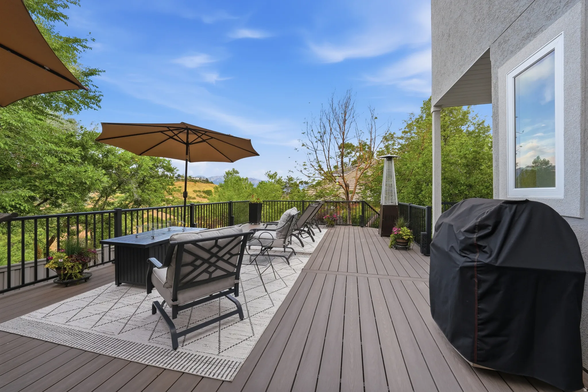 Spacious outdoor deck featuring dark wood-finish decking and black iron railings