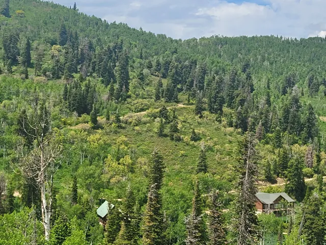 Mountain view