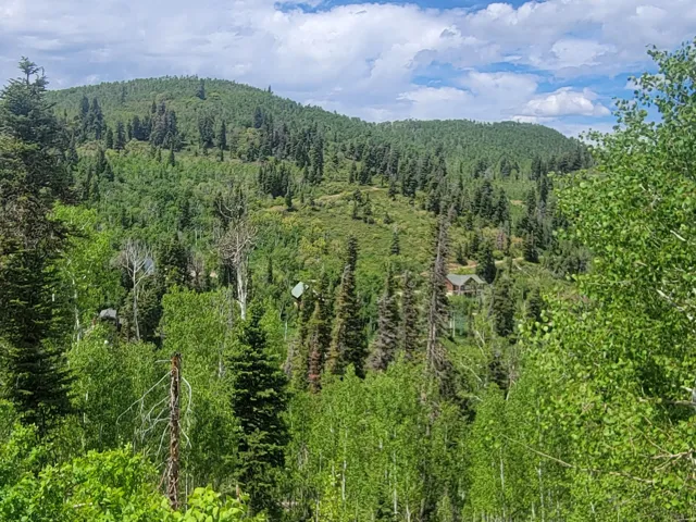 Expansive mountain landscape featuring dense evergreen and deciduous trees under a partially clouded sky