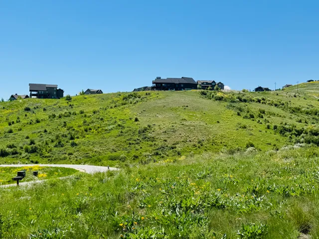 Sloping green landscape featuring distant residences and a paved road
