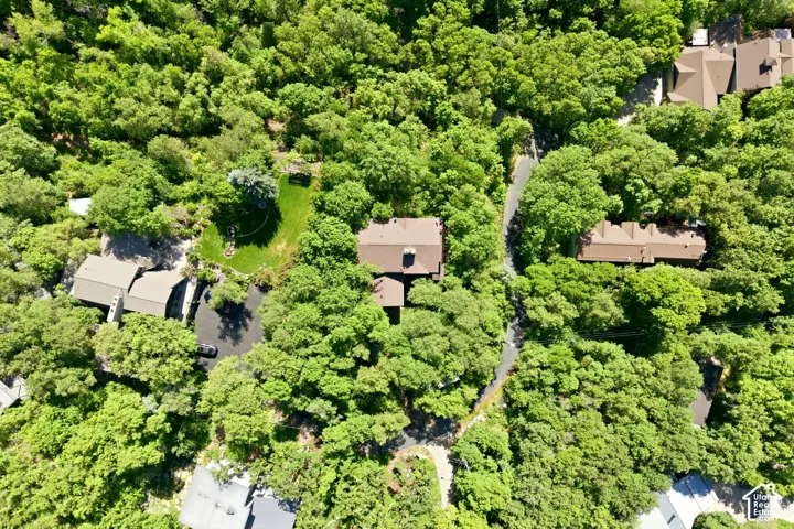 Aerial perspective showcasing a property surrounded by mature trees, featuring a private driveway, a manicured lawn area, and a brown shingle roof