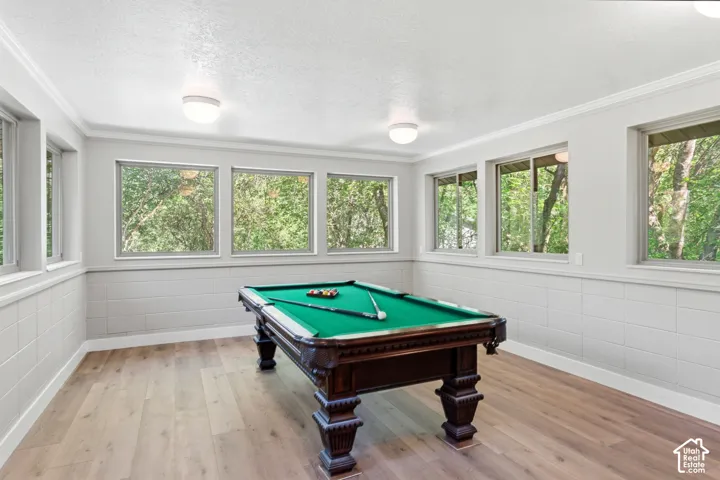 Entertainment room featuring wood-finish flooring, white baseboards, and a white ceiling with recessed lighting