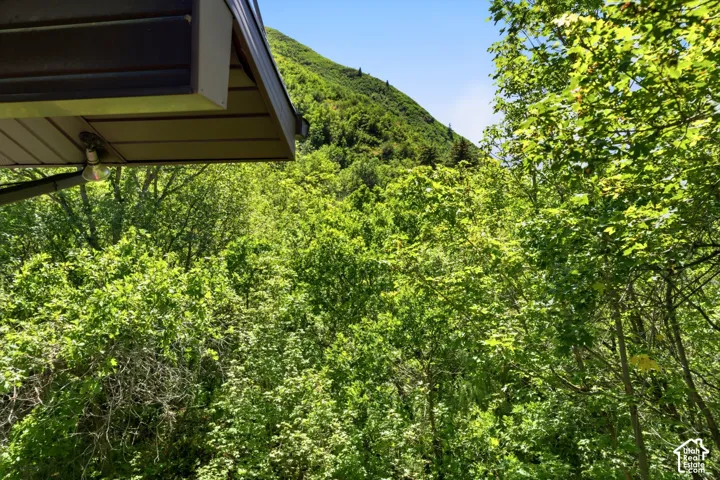 Overlooking lush, verdant foliage and distant mountains