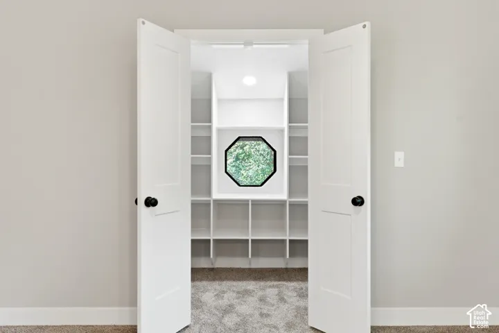 Double panel doors opening to a custom closet with built-in shelving, an octagonal window, recessed lighting, and carpet flooring
