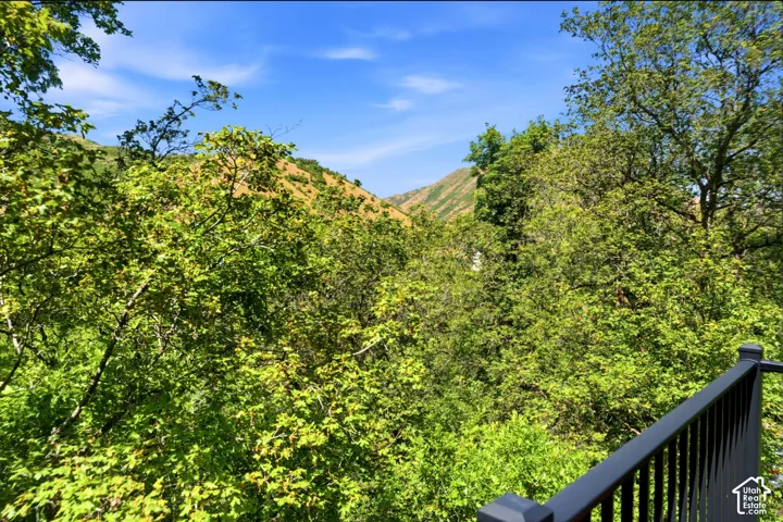 Mountainous landscape featuring extensive green foliage under a clear blue sky