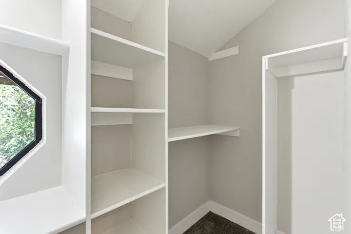 Custom shelving system featuring a hexagonal window, ample storage compartments, and white trim