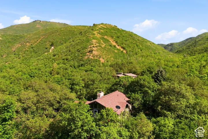 House nestled among lush, mature greenery