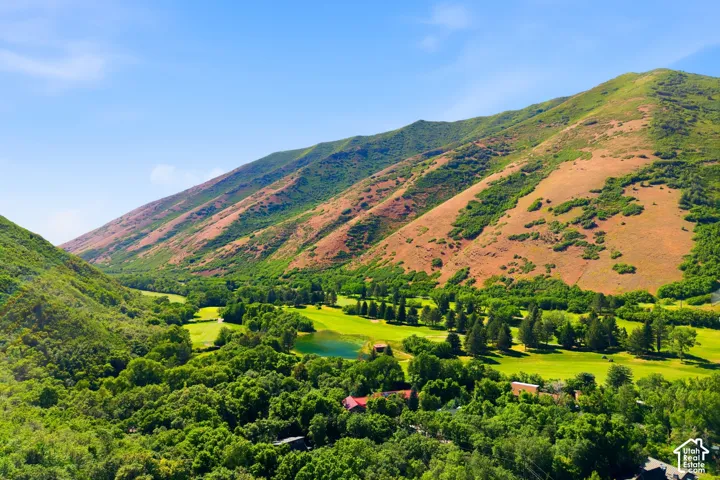 Expansive mountain valley setting with lush green foliage and a clear blue sky