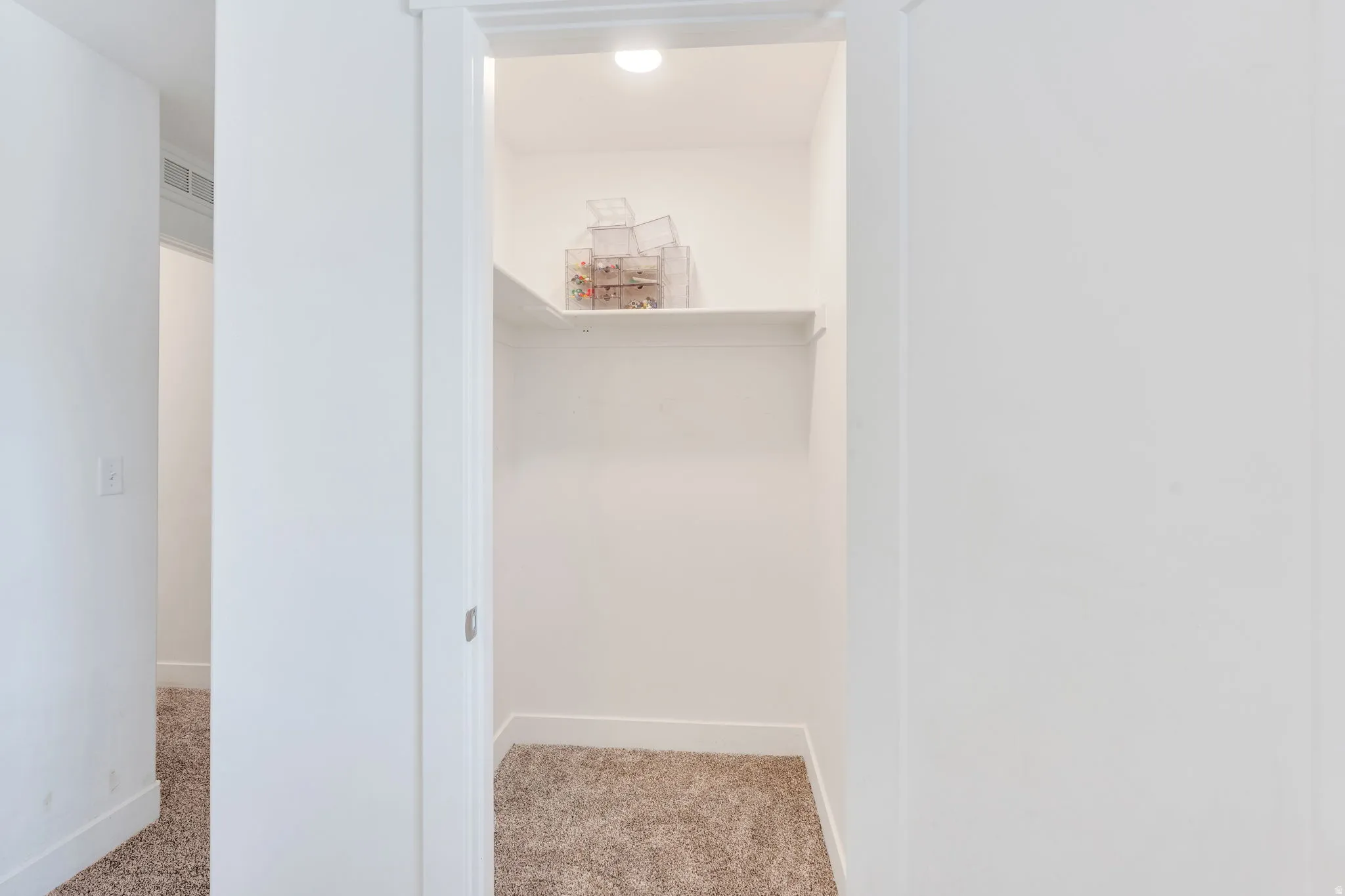 Recessed closet featuring a single built-in shelf, overhead lighting, and carpet flooring